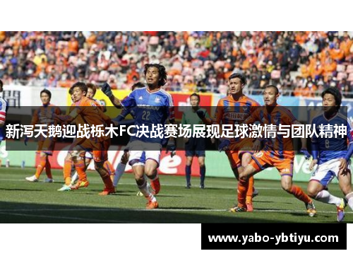 新泻天鹅迎战栎木FC决战赛场展现足球激情与团队精神