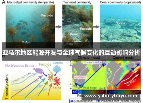 亚马尔地区能源开发与全球气候变化的互动影响分析
